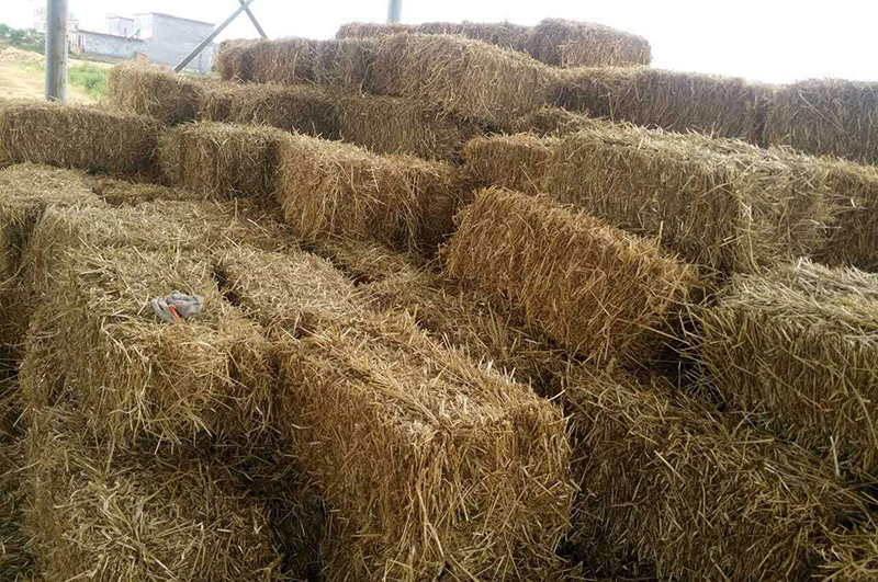 小麥秸稈-連續(xù)式炭化爐