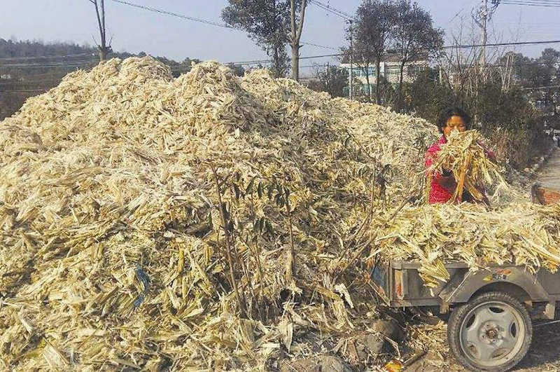 將甘蔗渣進行炭化可以提升它的經(jīng)濟價值