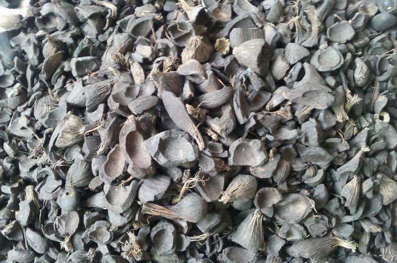 棕櫚殼能做燃料和活性炭，哪種利潤價值更高？