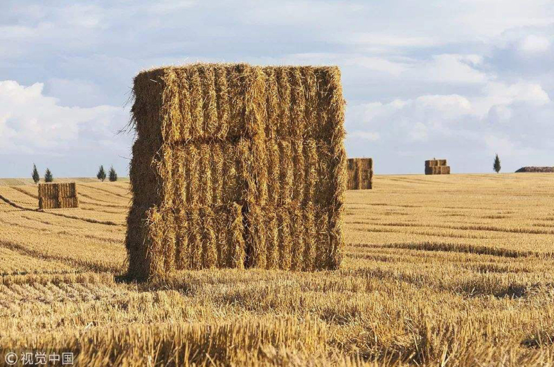 秸稈使用連續(xù)式炭化爐做木炭有什么優(yōu)勢