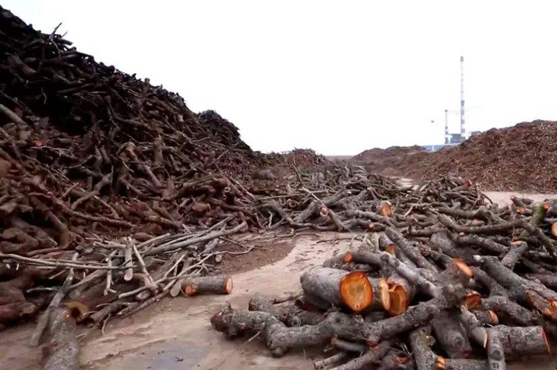 木材廢料資源豐富，怎么辦廠會有較大收益