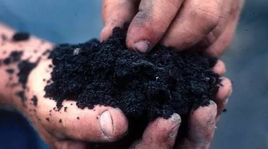 從廢料到財富！連續(xù)式炭化爐：為您解鎖生態(tài)炭化新時代！河南西德機械設(shè)備