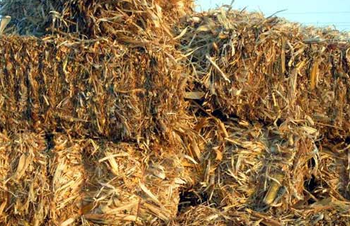 小型生物質(zhì)連續(xù)式炭化爐  農(nóng)業(yè)廢棄物的轉(zhuǎn)化神器