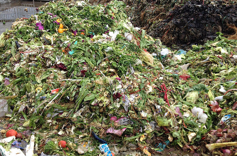 果蔬垃圾的新出路：碳化處理的潛力與價(jià)值