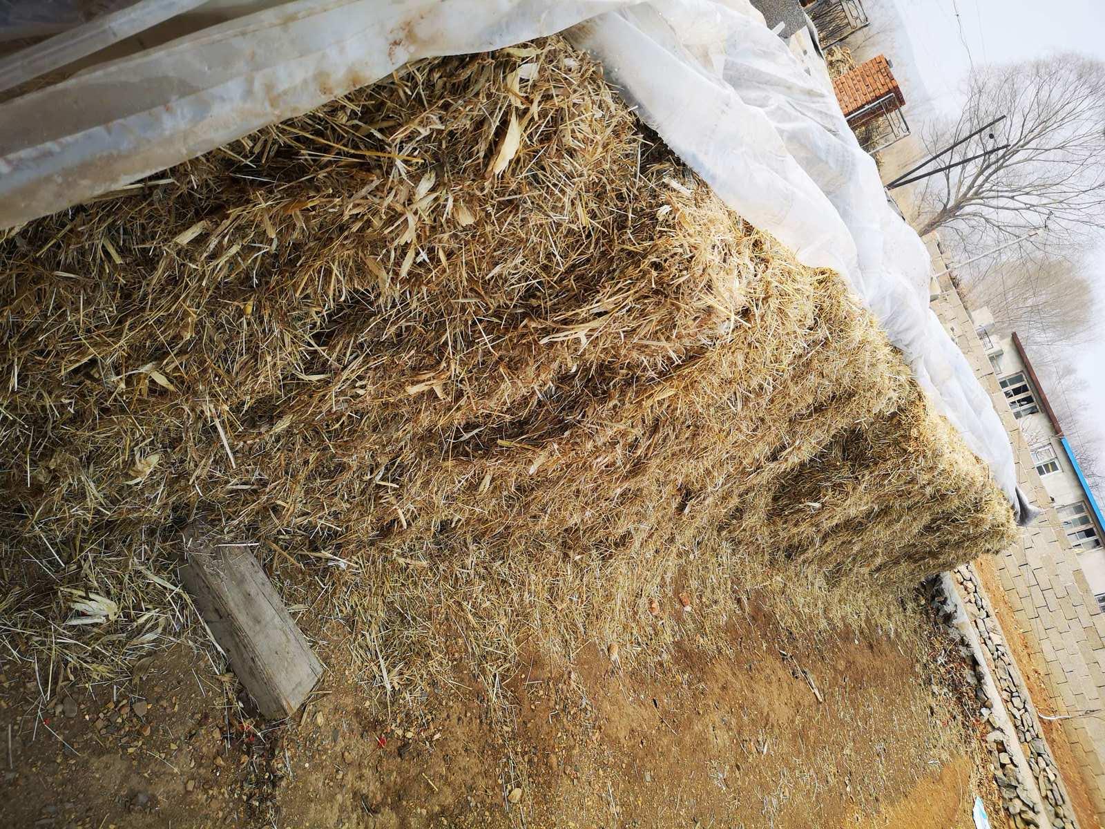 <strong>秸稈碳化：農(nóng)田廢棄物利用新路徑</strong>