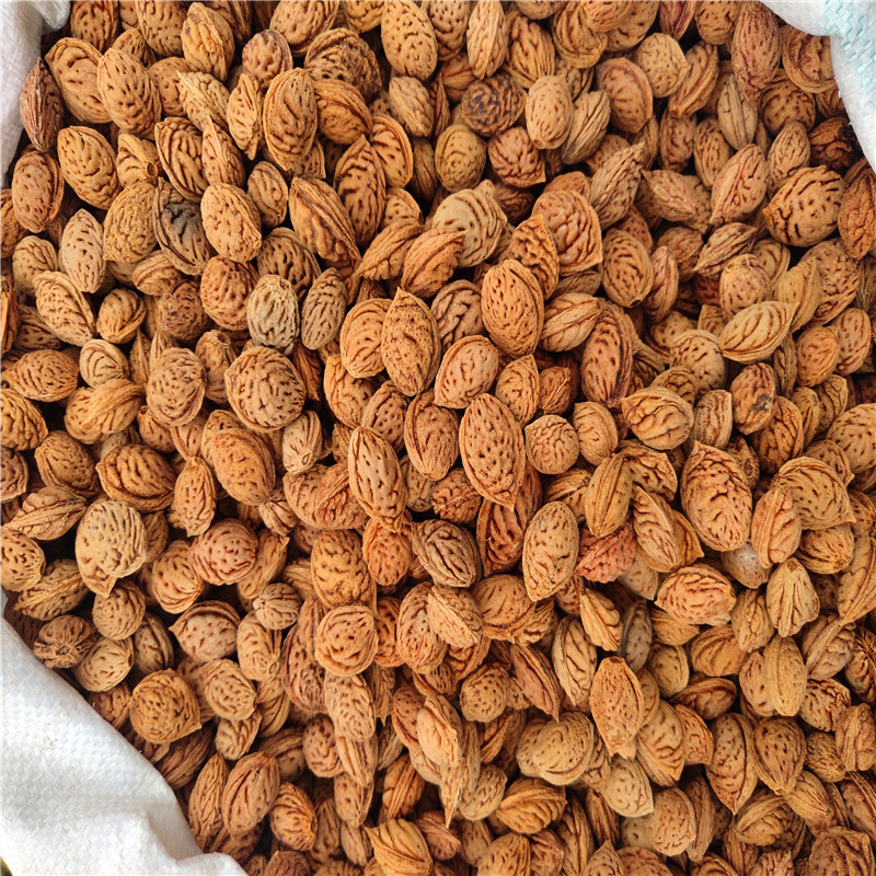 <strong>桃核殼與核桃殼的碳化利用：環(huán)保與價值的雙重提升</strong>